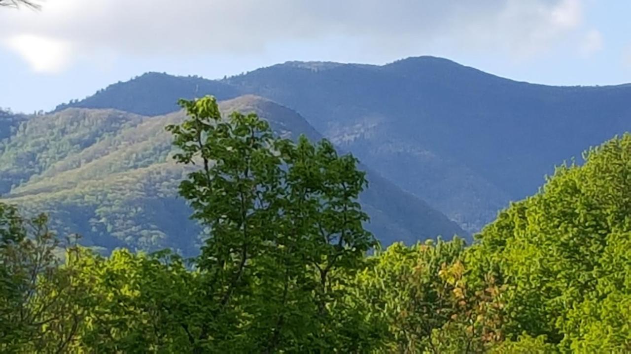 Mountain Serenity Gatlinburg Eksteriør bilde